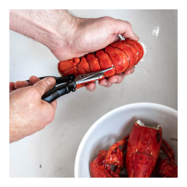 TESOURA PARA CRUSTACEOS - Imagem 3